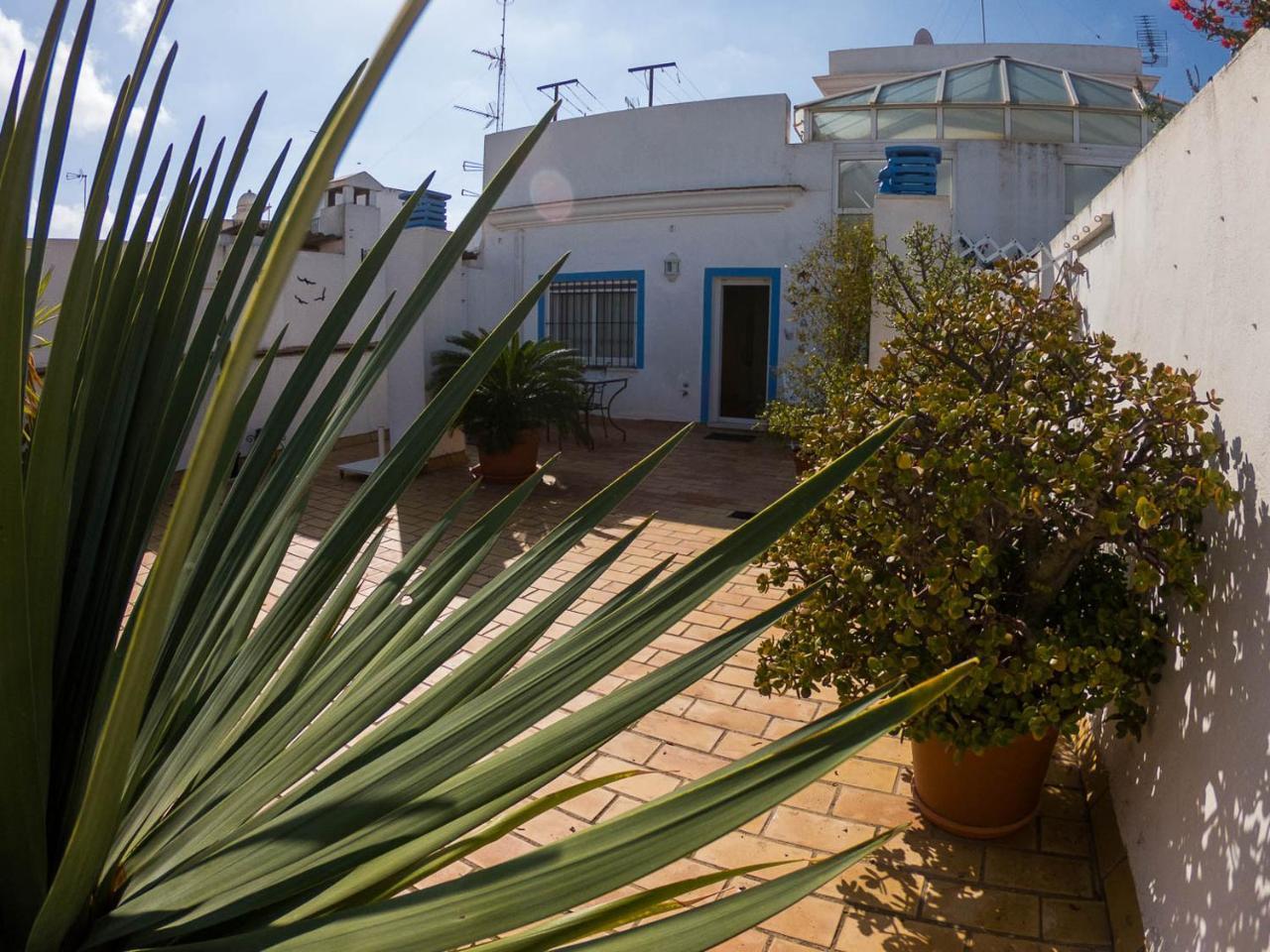 La Terraza Del Drago Daire Cadiz Dış mekan fotoğraf